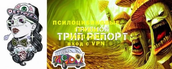 гидра Алексин