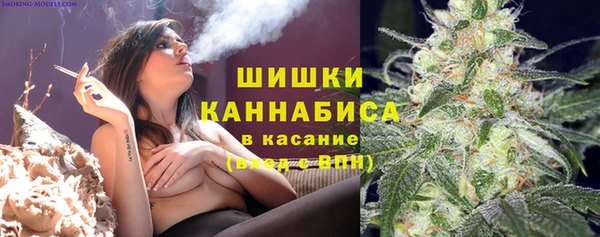 ГАЛЛЮЦИНОГЕННЫЕ ГРИБЫ Медвежьегорск