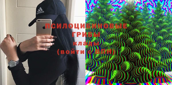 гидра Алексин